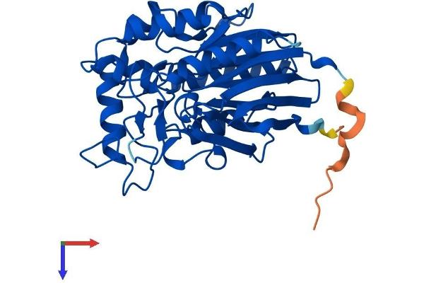 ADPRM Protein (AA 1-340) (His tag)