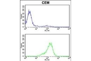 PRDX6 Antibody (C-term) (ABIN389471 and ABIN2839535) flow cytometric analysis of CEM cells (bottom histogram) compared to a negative control cell (top histogram).