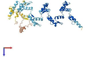 ZNF25 Protein (AA 1-456) (His tag)