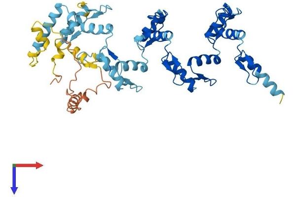 ZNF25 Protein (AA 1-456) (His tag)
