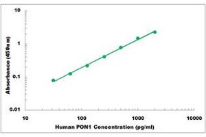 Representative Standard Curve (PON1 ELISA Kit)