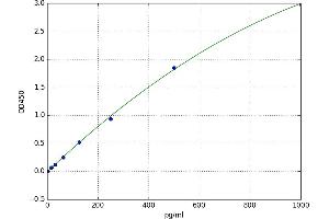 Chemokine (C-C Motif) Receptor 6 (CCR6) ELISA Kit