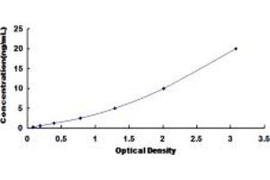 Typical standard curve (GPA33 ELISA Kit)