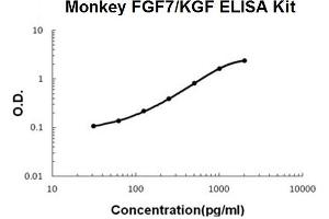 Monkey Primate FGF7/KGF PicoKine ELISA Kit standard curve