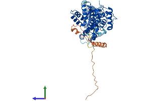 Protein Structure (PS) image for Chimerin (Chimaerin) 2 (CHN2) (AA 1-468) protein (His tag) (ABIN7553369)