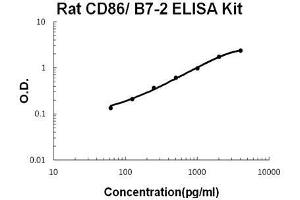 Rat CD86/B7-2 PicoKine ELISA Kit standard curve