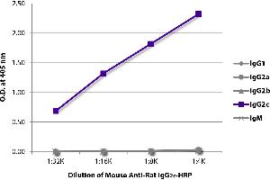 ELISA plate was coated with purified rat IgG1, IgG2a, IgG2b, IgG2c, and IgM. (Maus anti-Ratte IgG2c Antikörper (HRP))