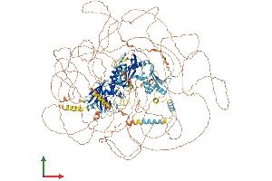 Protein Structure (PS) image for Mediator Complex Subunit 1 (MED1) (AA 1-1581) protein (His tag) (ABIN7554493)