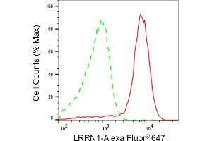Flow cytometric analysis of LRRN1 expression in HAP-1 cells using LRRN1 antibody (ABIN7799252), 1:2,000). (LRRN1 Antikörper)