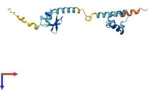 CGGBP1 Protein (AA 1-167) (His tag)