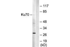 Western blot analysis of extracts from HepG2 cells, using Ku70 Antibody. (XRCC6 Antikörper  (AA 560-609))