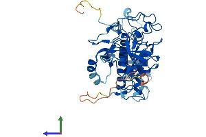 Protein Structure (PS) image for Suppressor of Variegation 3-9 Homolog 1 (Drosophila) (SUV39H1) (AA 1-412) protein (His tag) (ABIN7555631)