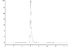 The purity of Biotinylated Human Semaphorin 4D is greater than 95 % as determined by SEC-HPLC. (SEMA4D/CD100 Protein (AA 22-734) (His-Avi Tag,Biotin))