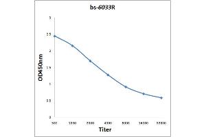 Antigen: 0. (CNTN3 Antikörper  (AA 301-400))