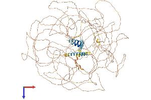 TCOF1 Protein (AA 1-1488) (His tag)