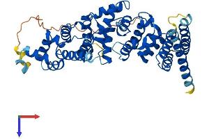FBXO47 Protein (AA 1-451) (His tag)