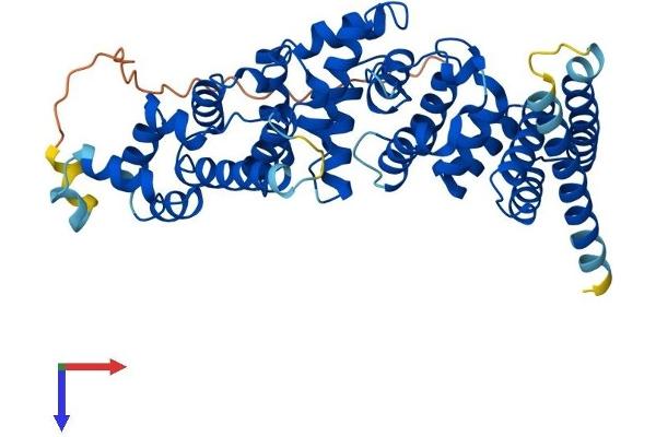 FBXO47 Protein (AA 1-451) (His tag)