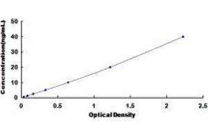 Typical standard curve (NAT2 ELISA Kit)