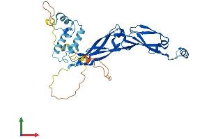 AlphaFold protein structure predicition of Human Recombinant DNAJB5 Protein, UniprotID O75953 (DNAJB5 Protein (AA 1-348) (His tag))