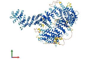 Protein Structure (PS) image for Fanconi Anemia Complementation Group I (FANCI) (AA 1-1328) protein (His tag) (ABIN7553915)