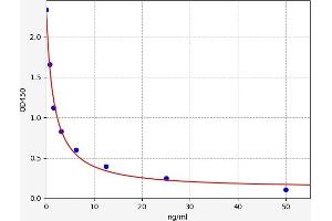 Estriol ELISA Kit