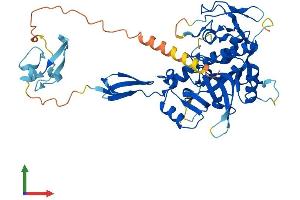 TINAG Protein (AA 1-476) (His tag)