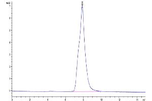 Size-exclusion chromatography-High Pressure Liquid Chromatography (SEC-HPLC) image for Syndecan 1 (SDC1) (AA 23-254) protein (His tag) (ABIN7275681)
