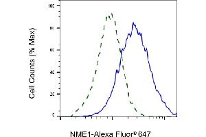Validation of NME1 knockdown using flow cytometry. (Rekombinanter NME1 Antikörper)
