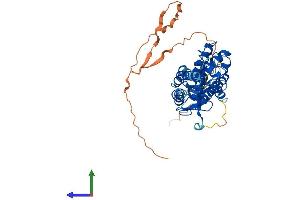 Protein Structure (PS) image for Hepatocyte Nuclear Factor 4 gamma (HNF4G) (AA 1-408) protein (His tag) (ABIN7556292)