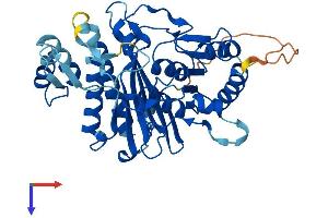 INPP1 Protein (AA 1-399) (His tag)