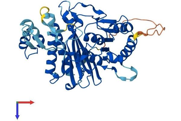 INPP1 Protein (AA 1-399) (His tag)