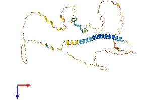 PRR7 Protein (AA 1-269) (His tag)