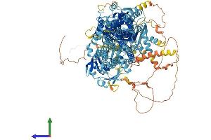 Protein Structure (PS) image for ATPase, Aminophospholipid Transporter, Class I, Type 8B, Member 3 (ATP8B3) (AA 1-1300) protein (His tag) (ABIN7552377)