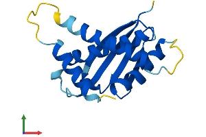 Protein Structure (PS) image for Trafficking Protein Particle Complex 6A (TRAPPC6A) (AA 1-159) protein (His tag) (ABIN7558182)