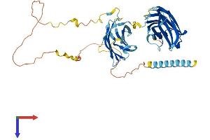 SYT15 Protein (AA 1-418) (His tag)