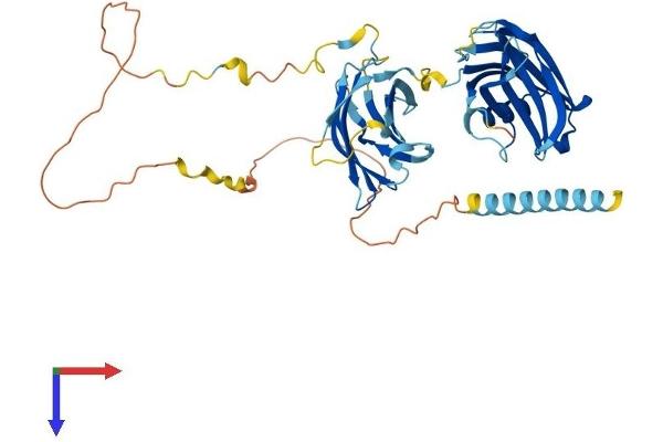 SYT15 Protein (AA 1-418) (His tag)