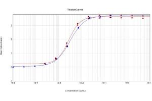 ELISA results of Anti-Feimin (Mouse) Monoclonal Antibody Clone 7F7. (Feimin Antikörper)