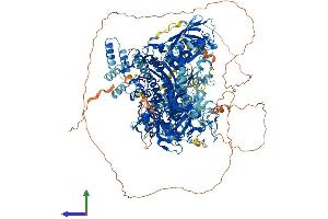 Protein Structure (PS) image for DNA (Cytosine-5)-Methyltransferase 1 (DNMT1) (AA 1-1620) protein (His tag) (ABIN7562865)