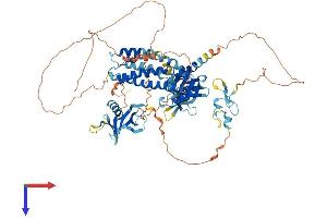 FGD3 Protein (AA 1-733) (His tag)