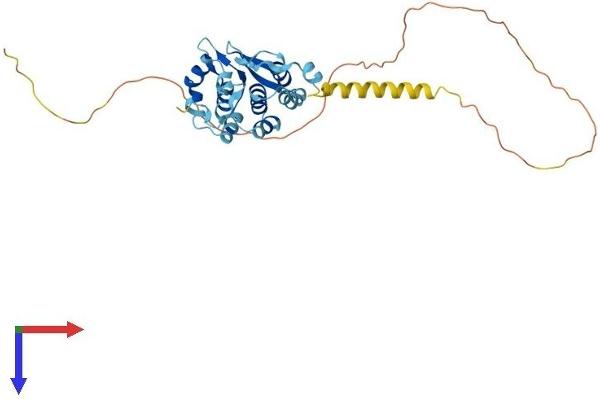 PRPF38A Protein (AA 1-312) (His tag)