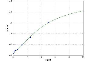 FK506 Binding Protein 5 (FKBP5) ELISA Kit