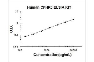 Complement Factor H-Related 5 (CFHR5) ELISA Kit