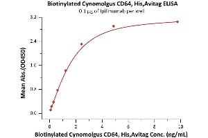 ELISA image for Fc Fragment of IgG, High Affinity Ia, Receptor (CD64) (FCGR1A) (AA 11-288) (Active) protein (His tag,AVI tag,Biotin) (ABIN6810049)