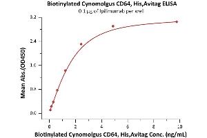 Immobilized Ipilimumab at 1 μg/mL (100 μL/well) can bind Biotinylated Cynomolgus CD64, His,Avitag (ABIN6810049,ABIN6938894) with a linear range of 0.