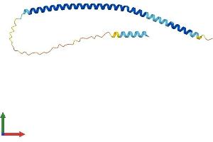Protein Structure (PS) image for Family with Sequence Similarity 9, Member C (FAM9C) (AA 1-166) protein (His tag) (ABIN7547557)