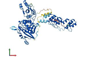 AlphaFold protein structure predicition of Human Recombinant ASPG Protein, UniprotID Q86U10
