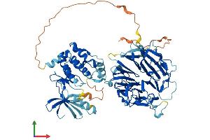 Protein Structure (PS) image for NIMA-Related Kinase 8 (NEK8) (AA 1-692) protein (His tag) (ABIN7549754)
