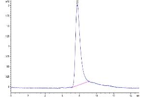 Size-exclusion chromatography-High Pressure Liquid Chromatography (SEC-HPLC) image for Interleukin 31 (IL31) (AA 24-164) protein (His tag) (ABIN7274942)