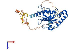 AKTIP Protein (AA 1-292) (His tag)