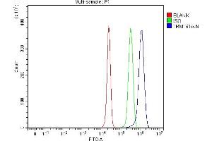 Flow Cytometry analysis of HepG2 cells using anti-TRMT61A antibody (ABIN7599220).